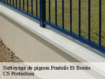 Nettoyage de pignon 30450