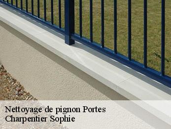 Nettoyage de pignon  30530