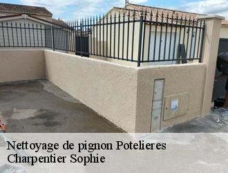 Nettoyage de pignon potelieres-30500 Charpentier Sophie