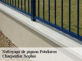 Nettoyage de pignon 30500