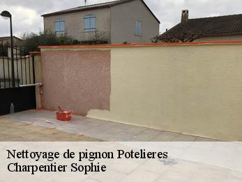 Nettoyage de pignon
