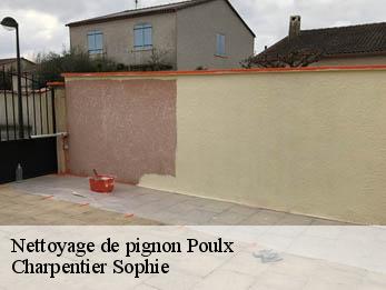 Nettoyage de pignon