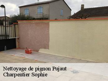 Nettoyage de pignon