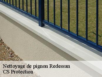 Nettoyage de pignon  30129