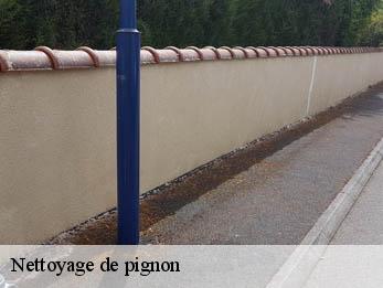 Nettoyage de pignon  30720