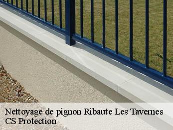 Nettoyage de pignon 30720