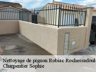 Nettoyage de pignon  robiac-rochessadoule-30160 Charpentier Sophie