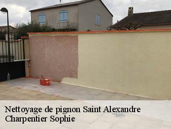 Nettoyage de pignon