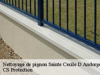 Nettoyage de pignon 30110