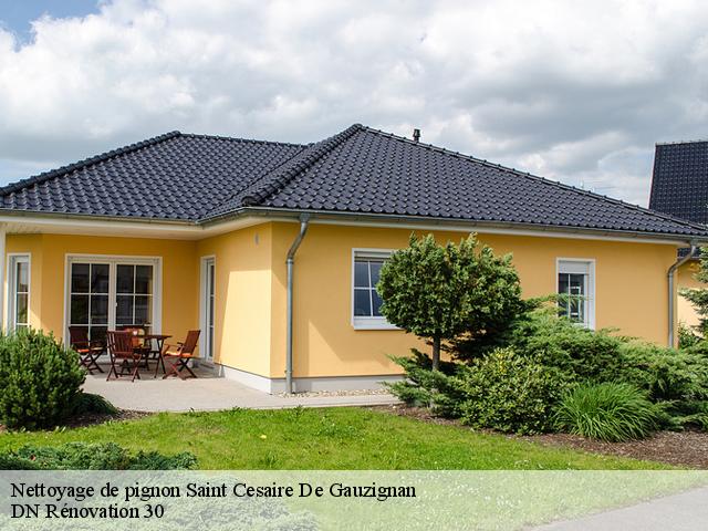 Nettoyage de pignon saint-cesaire-de-gauzignan-30360 Entreprise Emmanuel