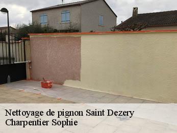 Nettoyage de pignon