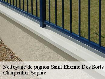 Nettoyage de pignon  30200