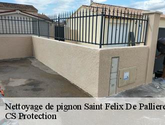 Nettoyage de pignon saint-felix-de-pallieres-30140 CS Protection