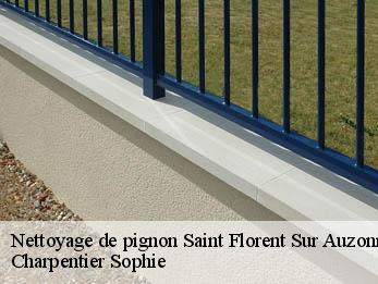 Nettoyage de pignon  30960