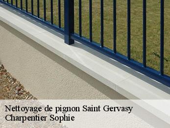 Nettoyage de pignon  30320