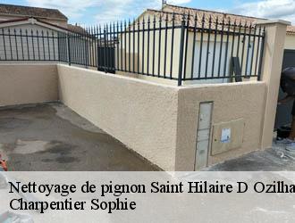 Nettoyage de pignon saint-hilaire-d-ozilhan-30210 Charpentier Sophie