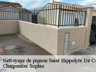 Nettoyage de pignon saint-hippolyte-de-caton-30360 Charpentier Sophie