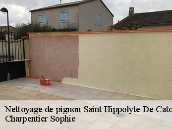 Nettoyage de pignon