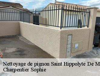 Nettoyage de pignon  saint-hippolyte-de-montaigu-30700 Charpentier Sophie