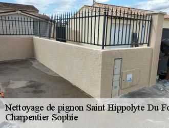 Nettoyage de pignon saint-hippolyte-du-fort-30170 Charpentier Sophie