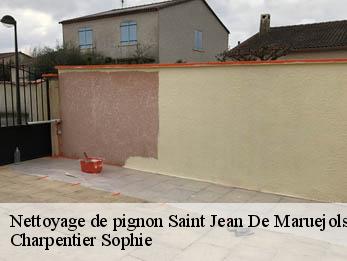 Nettoyage de pignon