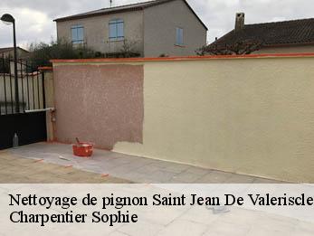 Nettoyage de pignon