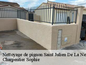 Nettoyage de pignon saint-julien-de-la-nef-30440 Charpentier Sophie