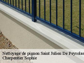 Nettoyage de pignon  30760