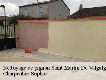 Nettoyage de pignon
