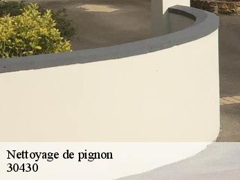 Nettoyage de pignon