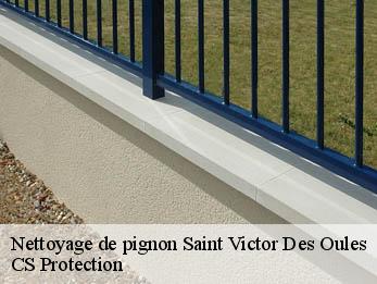 Nettoyage de pignon 30700