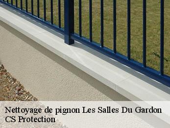 Nettoyage de pignon 30110