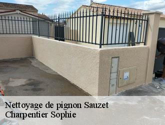 Nettoyage de pignon  sauzet-30190 Charpentier Sophie