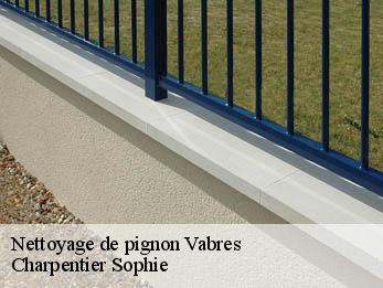 Nettoyage de pignon 30460