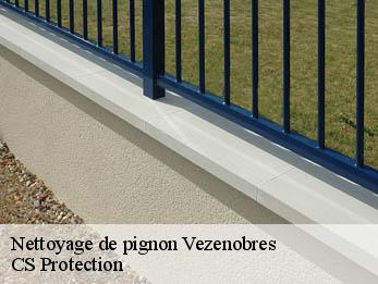 Nettoyage de pignon  30360