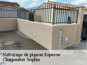 Nettoyage de pignon  esperou-30570 Charpentier Sophie