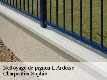 Nettoyage de pignon  30290