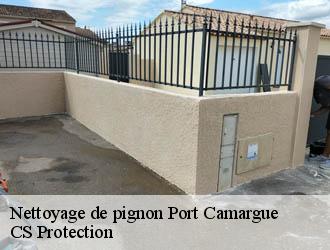 Nettoyage de pignon port-camargue-30240 CS Protection