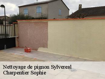 Nettoyage de pignon