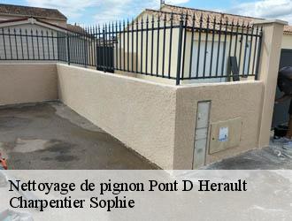 Nettoyage de pignon pont-d-herault-30570 Charpentier Sophie