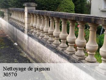 Nettoyage de pignon 30570