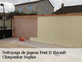 Nettoyage de pignon