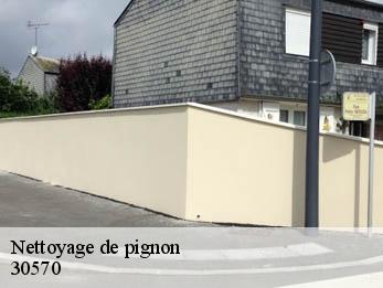 Nettoyage de pignon 30570