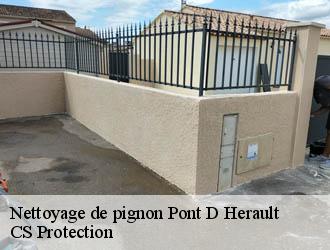 Nettoyage de pignon pont-d-herault-30570 CS Protection