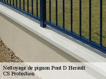 Nettoyage de pignon 30570