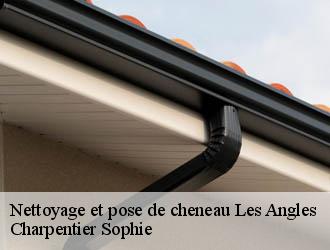 Nettoyage et pose de cheneau les-angles-30133 Charpentier Sophie