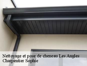 Nettoyage et pose de cheneau 30133