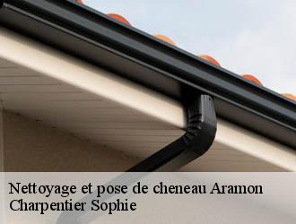 Nettoyage et pose de cheneau aramon-30390 Charpentier Sophie