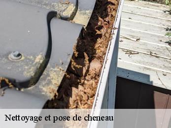 Nettoyage et pose de cheneau 30390