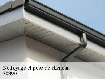 Nettoyage et pose de cheneau 30390